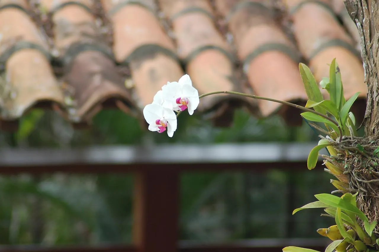 Eco Vila Beija Flor Villa Armacao dos Buzios Holiday home